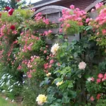 In Foehr With 2 Bedrooms * 비크아프포르