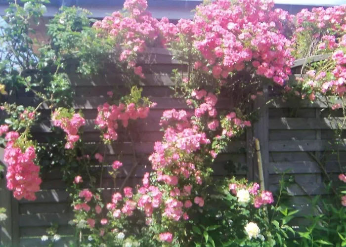 In Foehr With 2 Bedrooms Tatil Evi *