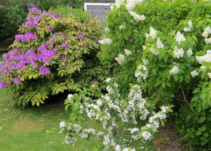 Tatil Evi In Foehr With 2 Bedrooms Wyk auf Föhr