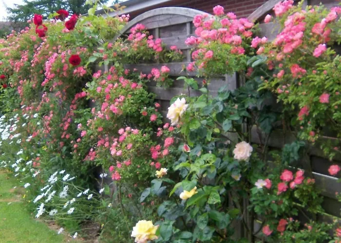 In Foehr With 2 Bedrooms * Wyk auf Föhr