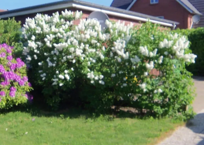 In Foehr With 2 Bedrooms Tatil Evi